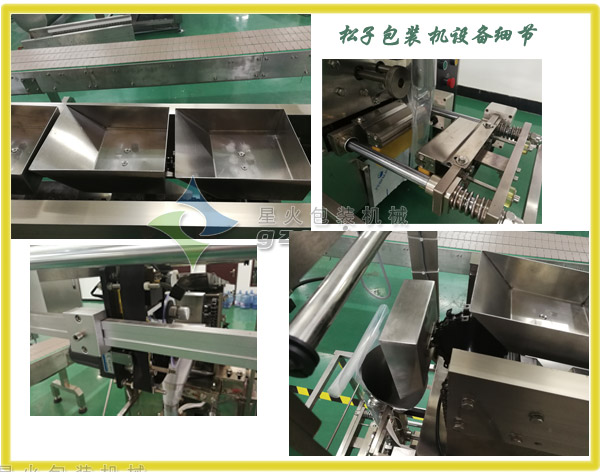 鏈斗式顆粒自動包裝機細節(jié)